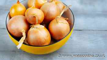 Stop storing onions in the fridge as 1 better location keeps them fresh for '6 months'