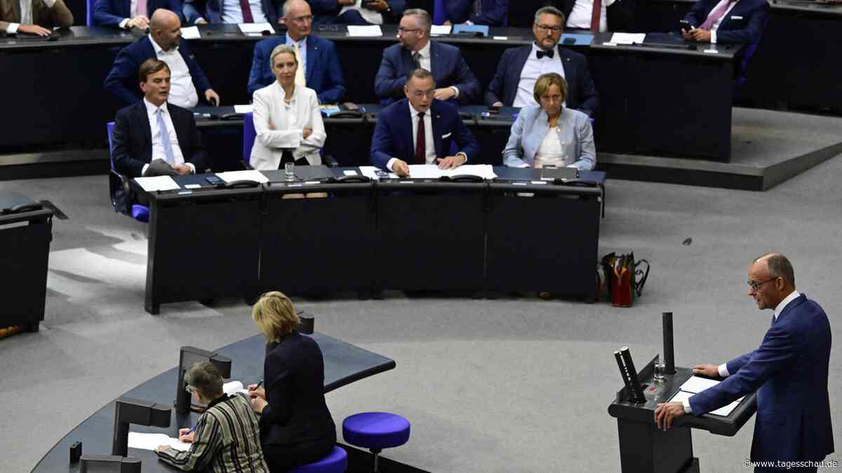 Merz gegen die AfD im Bundestag: "Sie sind eine destruktive Kraft"