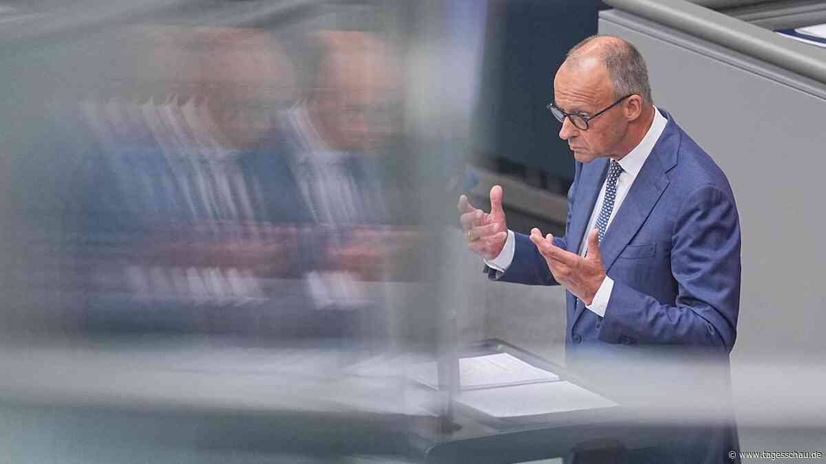 Merz gegen die AfD im Bundestag: "Sie sind eine destruktive Kraft"