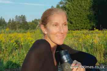Céline Dion's Bizarre Appearance Sparks Claims She Used a 'Body Double' Over Unusual Interview Behaviour