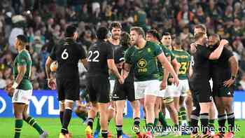 World Rugby slammed as 'scandalous' Springboks v New Zealand situation emerges