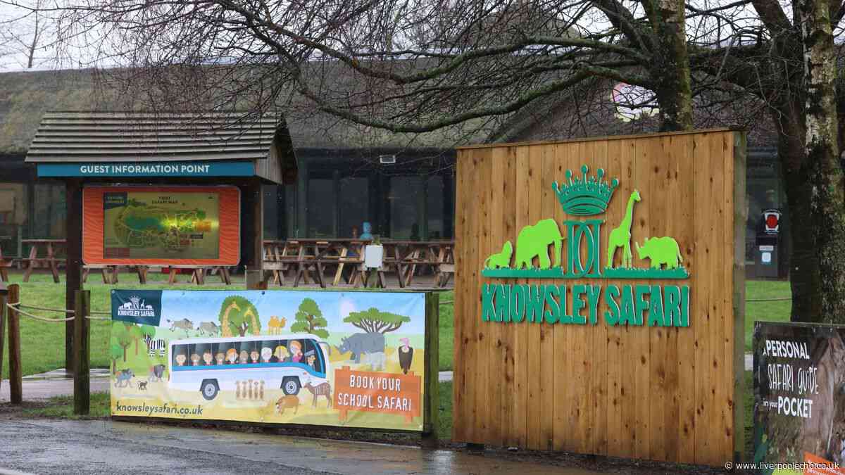 Knowsley Safari Park tickets slashed from £27 to £16 in flash deal