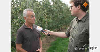 NFO-voorzitter John Kusters geeft bij Goedemorgen Nederland uitleg over nieuwe hardfruitoogst