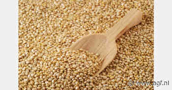 Vlaams quinoa-areaal kan tegen 2030 groeien naar 300 hectare