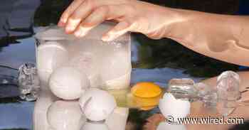There’s a Hot New Egg-Freezing Startup. It’s Weirder Than You Could Imagine