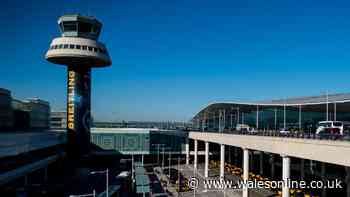 Barcelona Airport grounds flights with people warned to 'check airline'