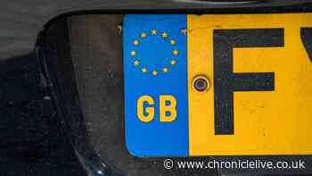 Half of drivers admit they break numberplate rule, risking fine or ban
