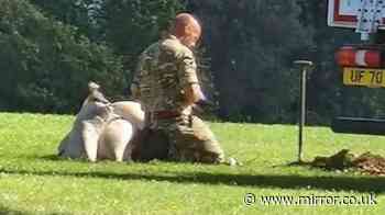 ‘Hand grenade’ found in Bristol park as bomb squad called before explosion
