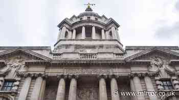 Manager avoids prison after worker buried alive – but firms fined more than £1m
