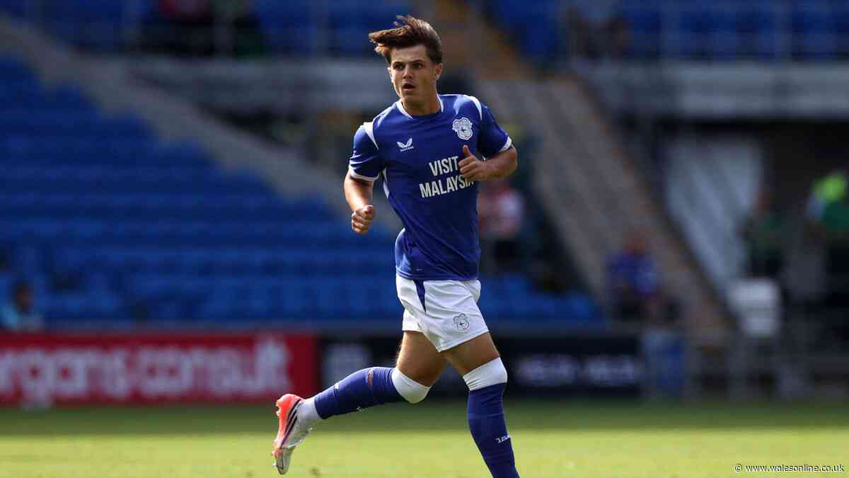The truth behind Cardiff City's succession plan as they leave big clubs trailing