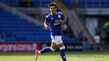 The truth behind Cardiff City's succession plan as they leave big clubs trailing