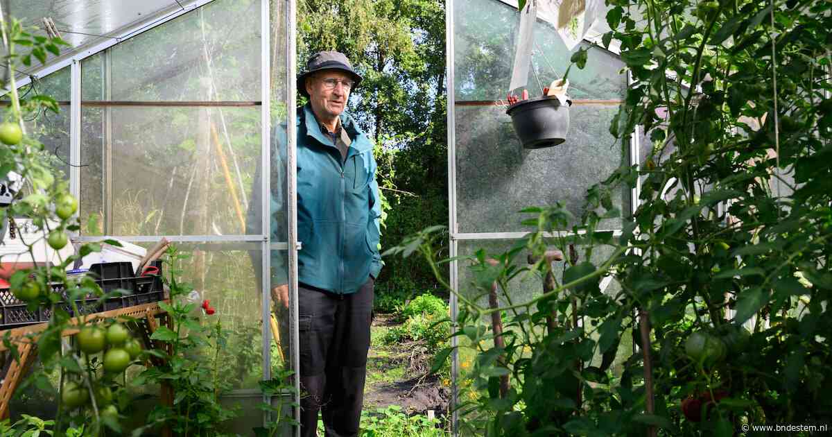 De bonen van Max (71) verbrandden, maar zijn liefde voor tuinieren bloeit juist op: ‘Dan maar wat kleinere knollen en wat grotere vlinders’