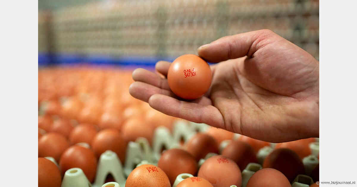 Biologische eieren van Blok-Franse krijgen naam Eilanders