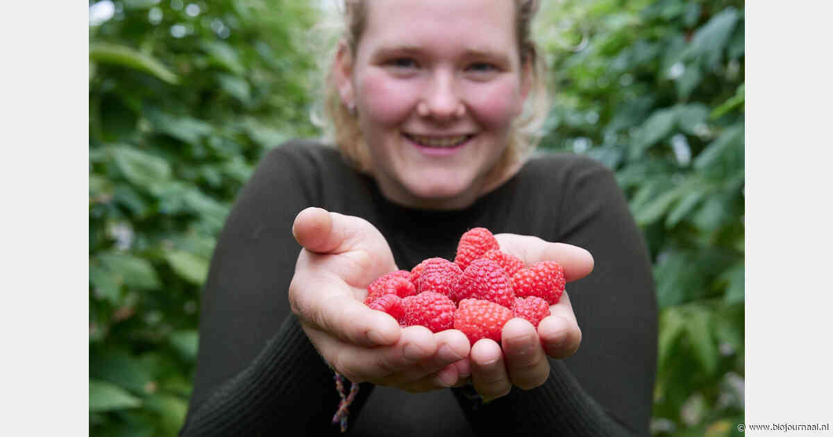 Biodynamische fruitteelt van Fruitweelde in beeld bij BinnensteBuiten