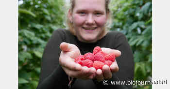 Biodynamische fruitteelt van Fruitweelde in beeld bij BinnensteBuiten
