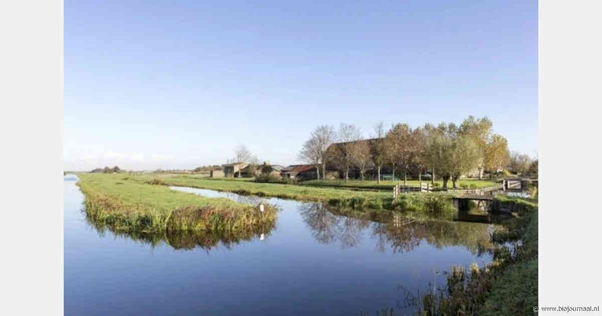 Biologische ondernemers houden hoogste vertrouwen, ondanks forse daling