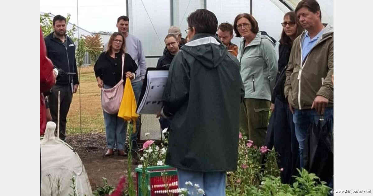 Biologische pluktuin Petit Flaneur zoekt overnemer