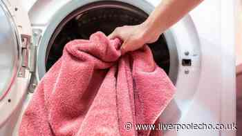 Towels stay 'soft' and won't stiffen over time if you stop using common laundry product
