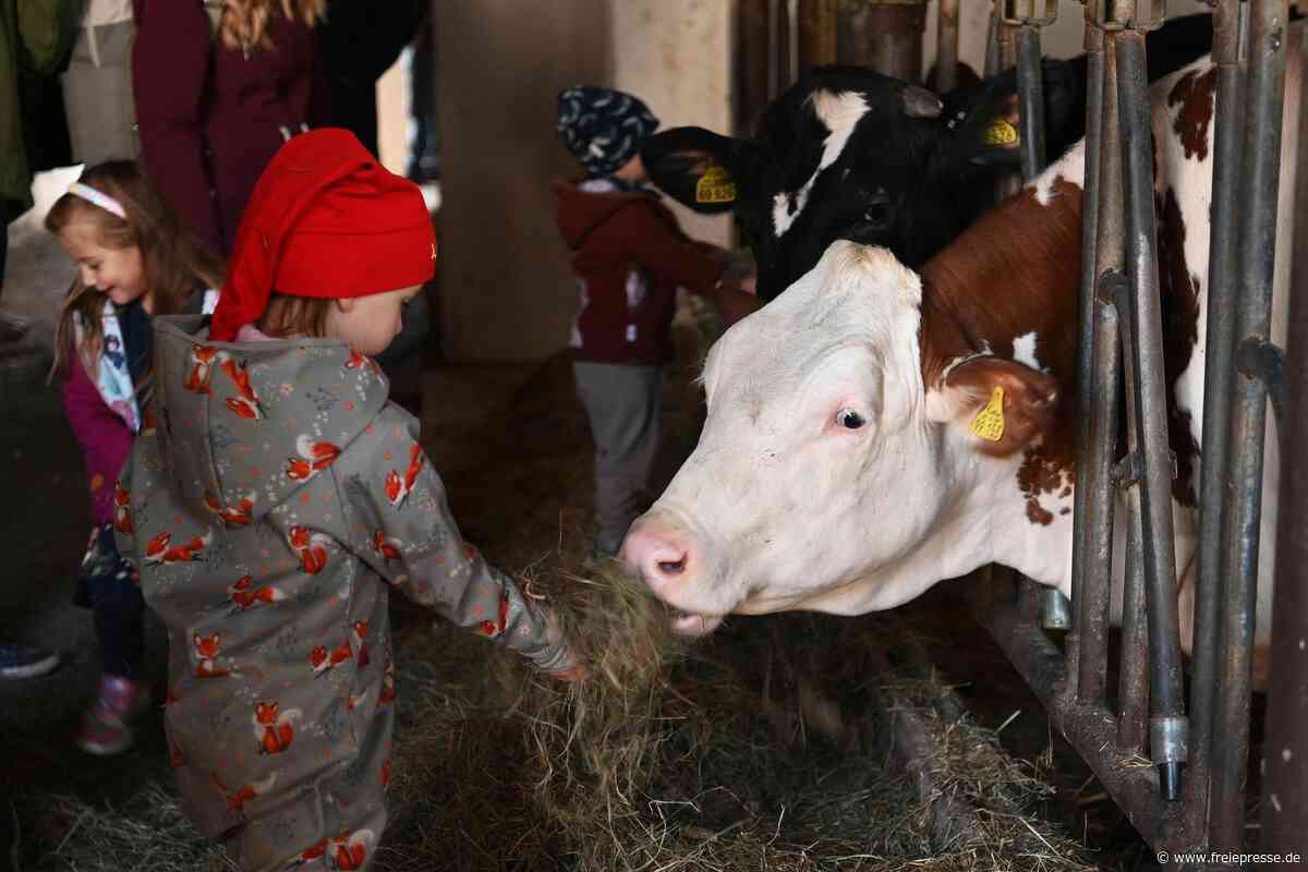 Herbstfest: Bei Penig dreht sich alles um Hof, Tiere und regionale Produkte