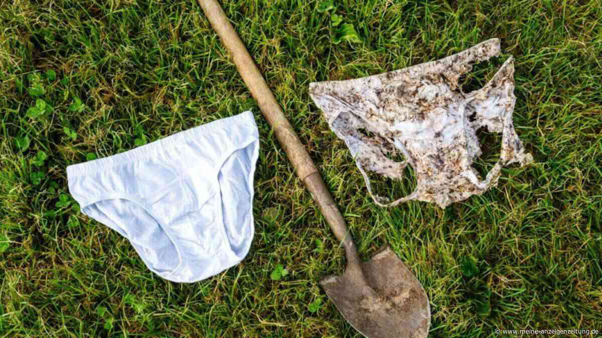 Nach zwei Monaten war die Hälfte weg: Was eine vergrabene Unterhose über Ihren Boden verrät