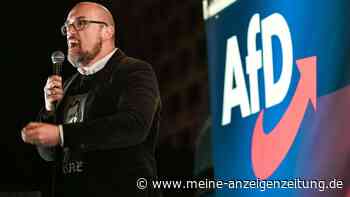 Tillschneider und das „Magdeburger Manifest“: Der Guru der AfD und sein Plan für Europa