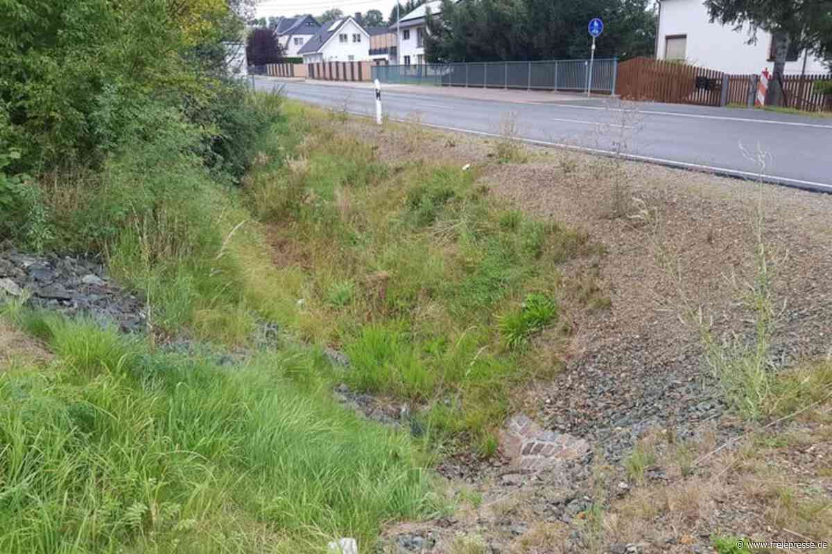 Kleiner Ort im Vogtland wappnet sich vor Hochwasser-Gefahren: Neustadt richtet Treba her