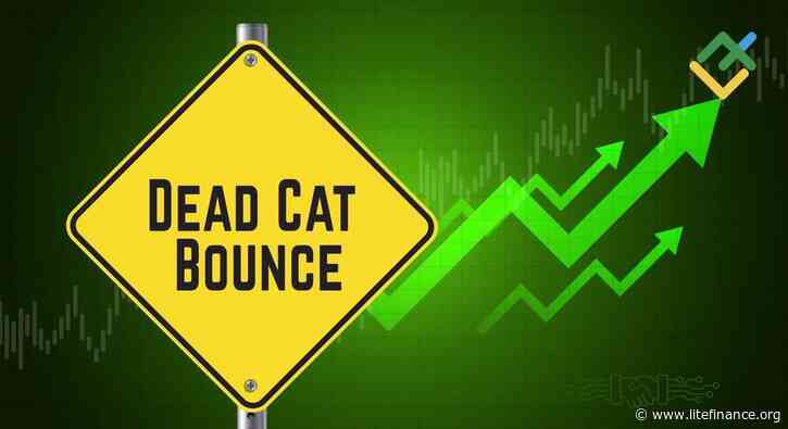 What Is a Dead Cat Bounce Pattern and How to Trade It?