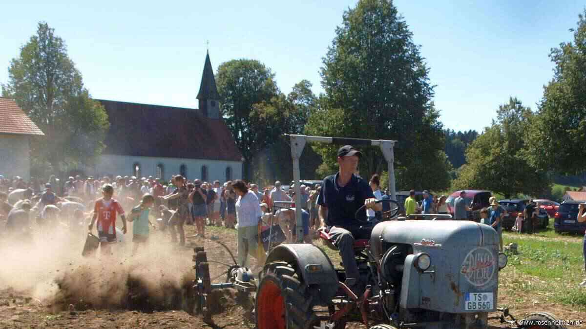 Kartoffelfest in Harpfing: Sogar royaler Besuch macht seine Aufwartung