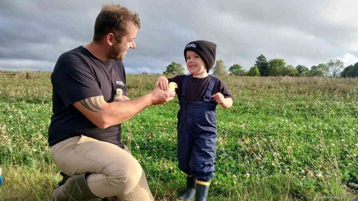 Family told they don't have permission to live in caravan on Monmouthshire farm and given a year to leave