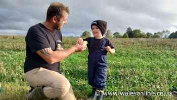Family told they don't have permission to live in caravan on Monmouthshire farm and given a year to leave