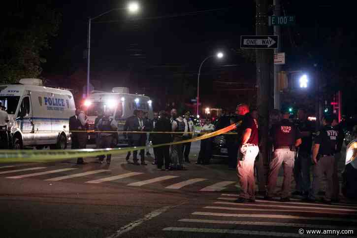 Wild Brooklyn crime spree: Cops shoot at teen suspect amid rampage of carjackings and armed robberies across borough