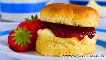 Scones will turn out softer and lighter if you add 1 simple ingredient before cooking them