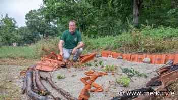 Kinder bauen Sandarium für Wildbienen auf Streuobstwiese