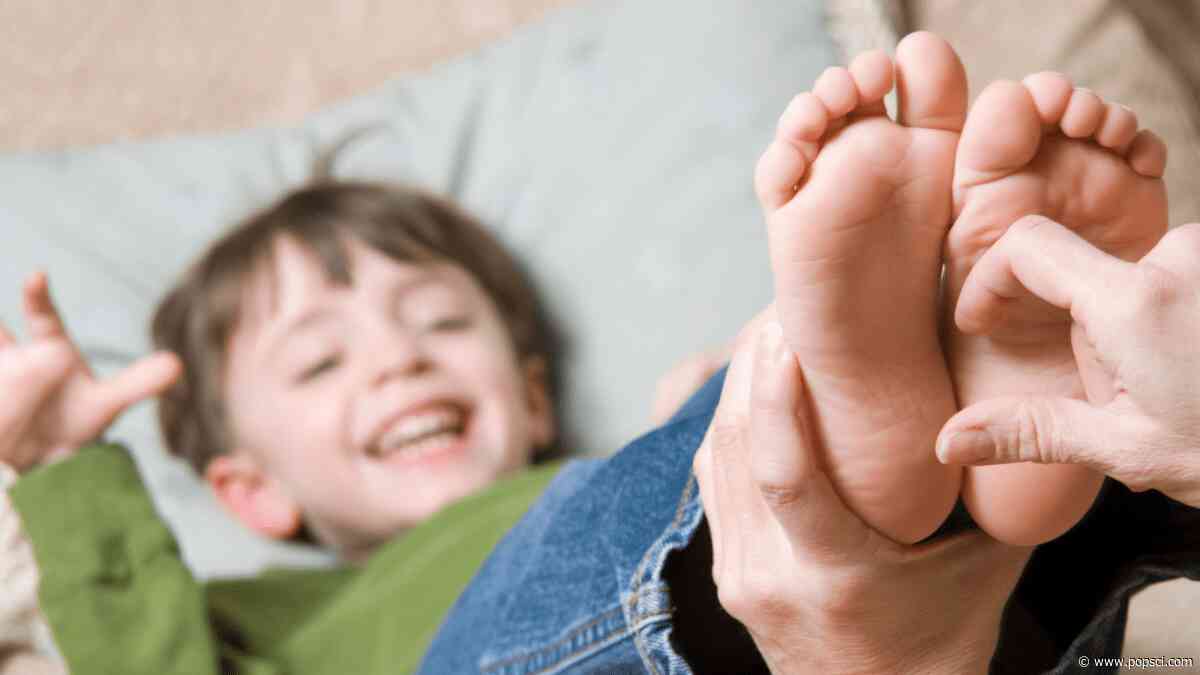 Yes, scientists really built a “tickle robot.” Here’s why.