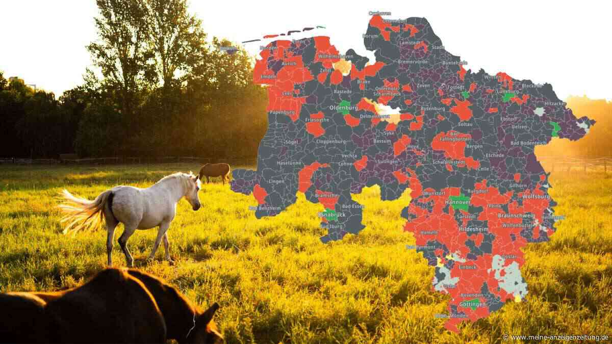 Diese Daten hat sonst keiner: Stöbern Sie durch die Ergebnisse der Niedersachsen-Kommunalwahl seit 1981