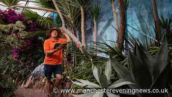 Brit held hostage creates dream garden he imagined after being told he had just ‘hours to live’