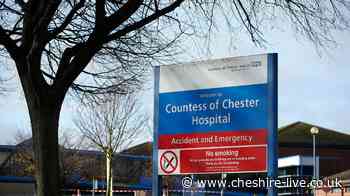 Woman, 89, in 'critical' condition after being hit by reversing van