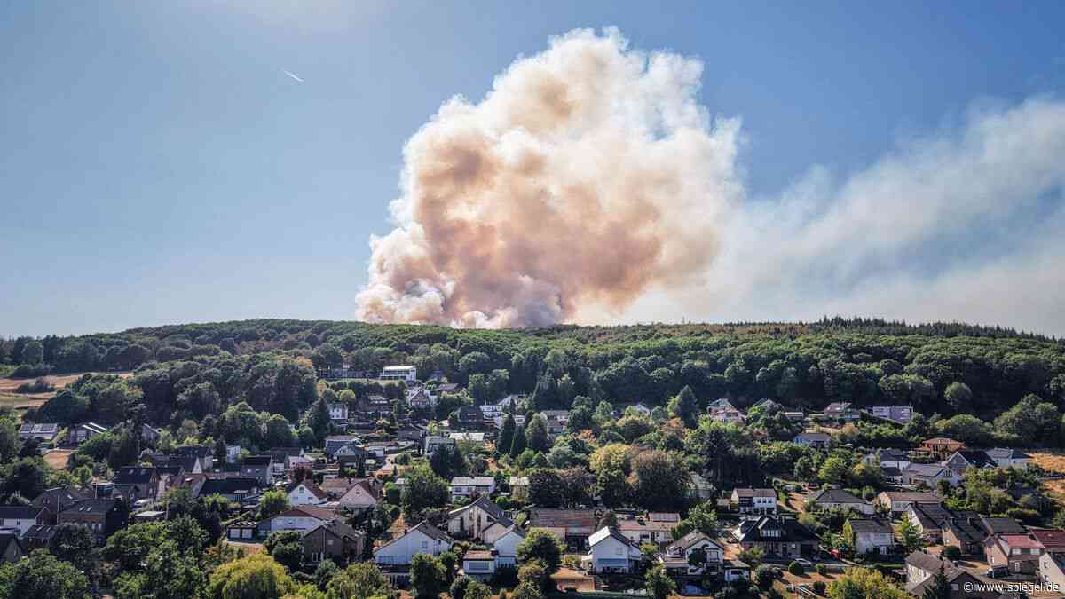 Biodiversität: Artensterben könnte neue Finanzkrise auslösen