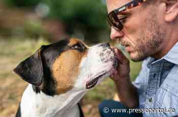 Teurer als gedacht! / Rover-Umfrage zeigt: Fast jede:r zweite Hundehalter:in unterschätzt die Kosten