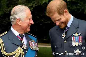 King Charles' Letter Reportedly Clarifies That Prince Harry and Meghan Markle Remain Non-Working Royals