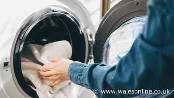 How to soften stiff towels with kitchen staple that experts say it's 'better than vinegar'