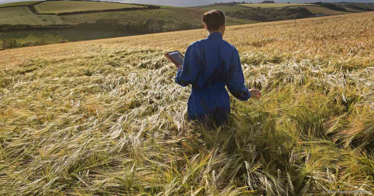 Can plant-grown proteins bring down the cost of cultivated meat?