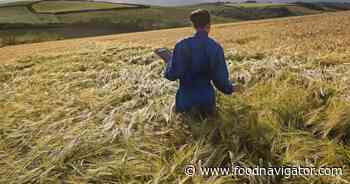Can plant-grown proteins bring down the cost of cultivated meat?