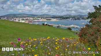 Douglas Head designated a Conservation Area