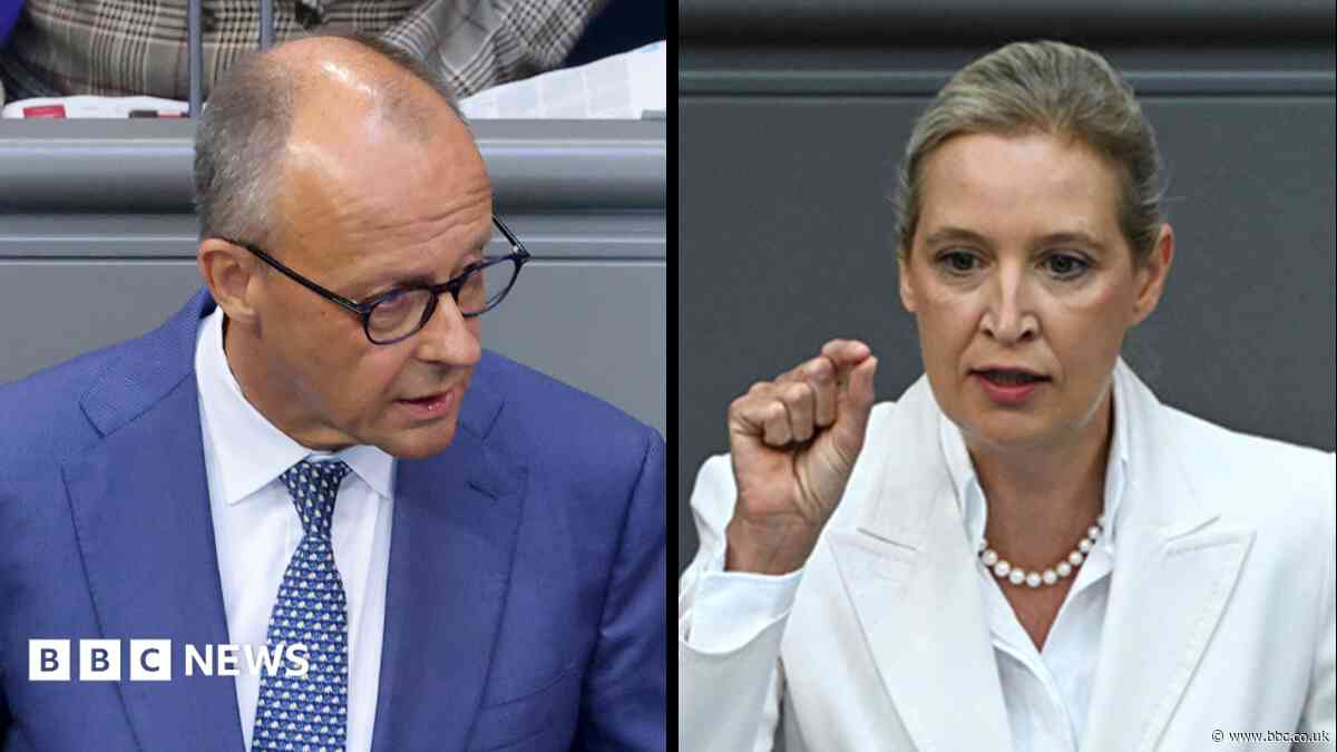 Germany's Merz attacks AfD in stormy debate after far-right election win
