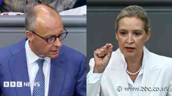 Germany's Merz attacks AfD in stormy debate after far-right election win