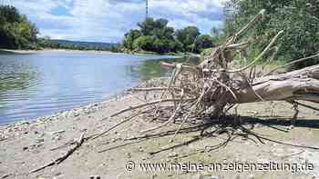 Keine Entwarnung für die Donau: Niedrigwasser könnte Vorbote für die nächsten Jahre sein