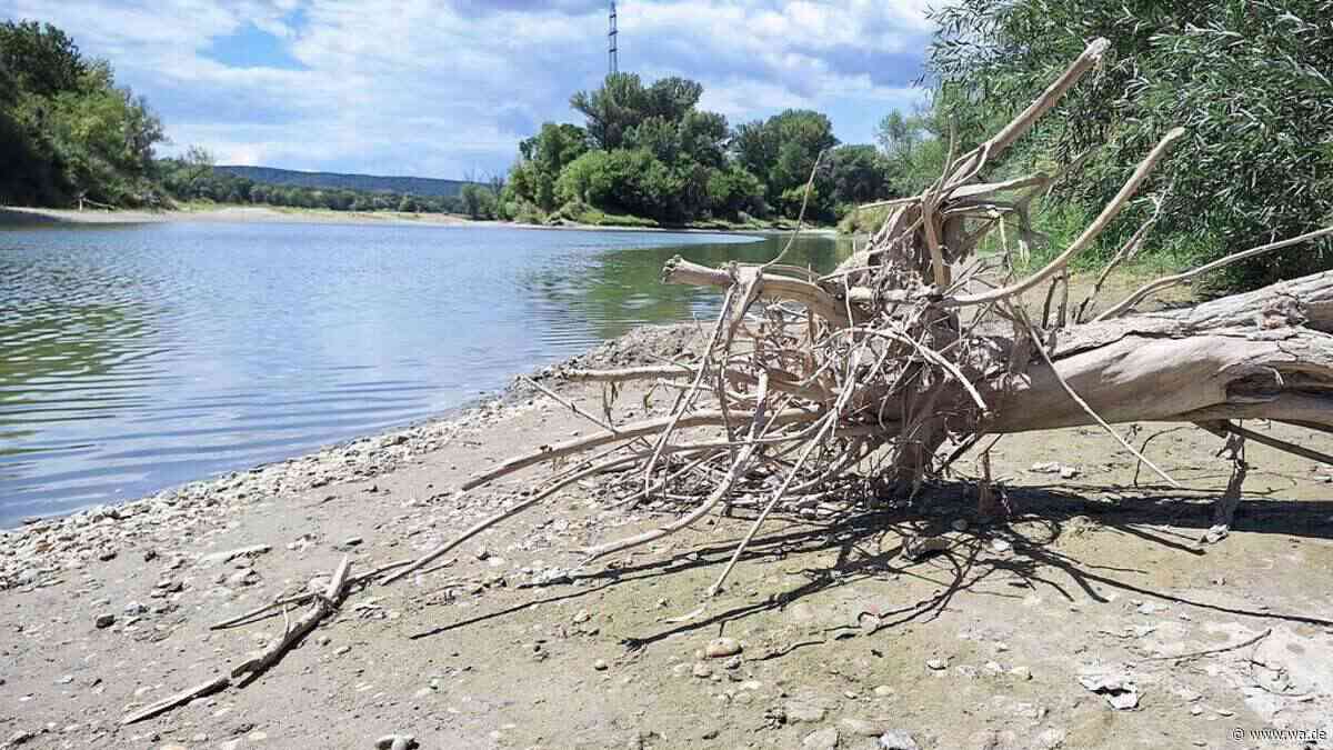 Keine Entwarnung für die Donau: Niedrigwasser könnte Vorbote für die nächsten Jahre sein