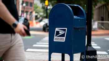 Watchdog reviewing whistleblower's mail-in voting rules warning