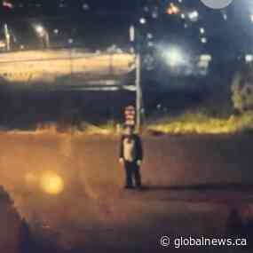 Person wearing Cat in the Hat costume chased teen: West Kelowna RCMP